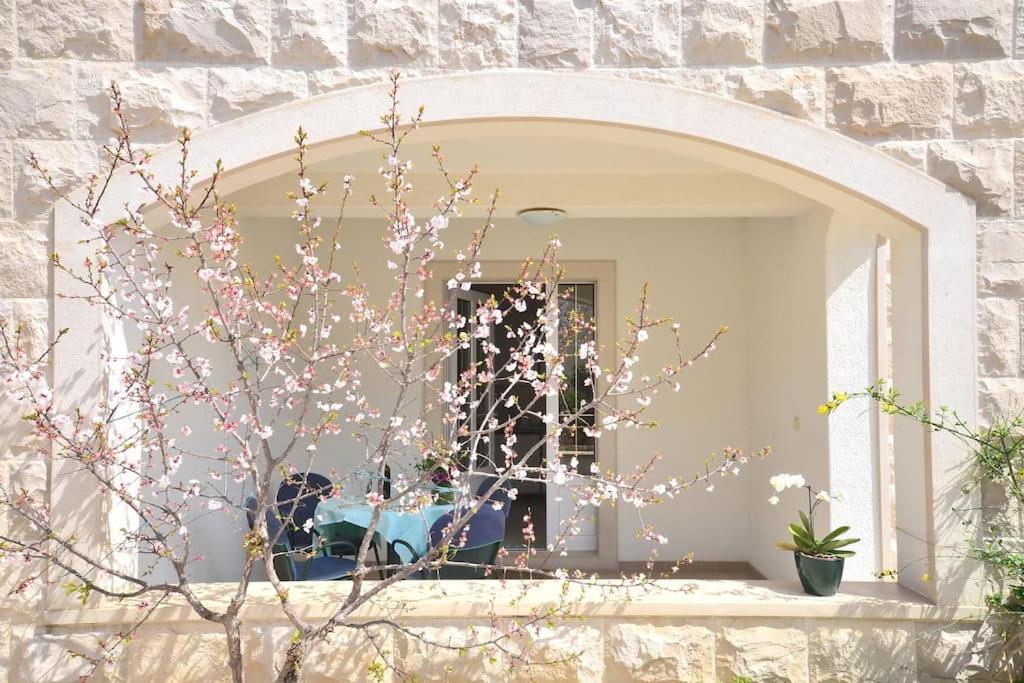 Apartments Regina Bol Dış mekan fotoğraf